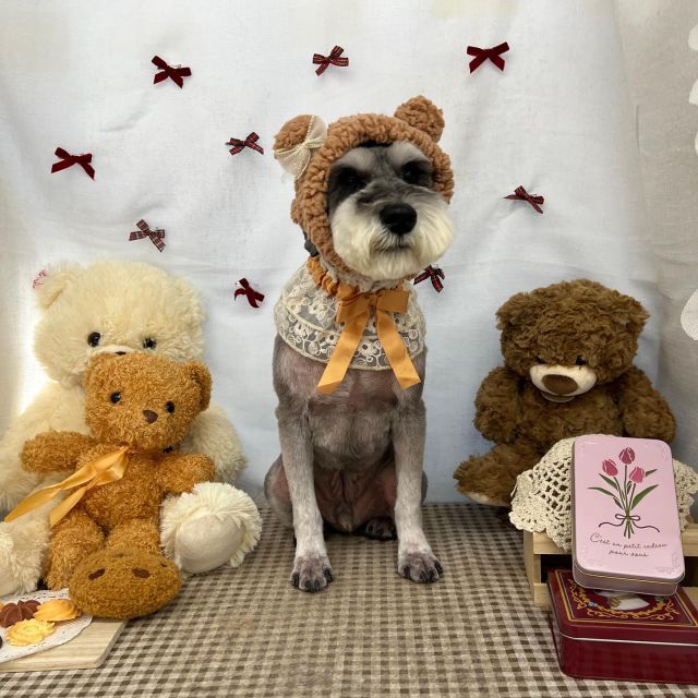 🍪🍪🍪

🧸のあくん
🧸レナちゃん
🧸シオンくん
🧸天ちゃん
🧸バズくん
🧸ななちゃん

#ペットサロンリアン
#ダイゴペットクリニック併設サロン
#豊田市#松ヶ枝町#トリミングサロン
#シャンプー#さっぱり
#炭酸泉#マイクロバブル
#トリートメント#肉球クリーム
#お利口さんでした💮 
#いぬすきさんと繋がりたい🐶 
#いぬすたぐらむ