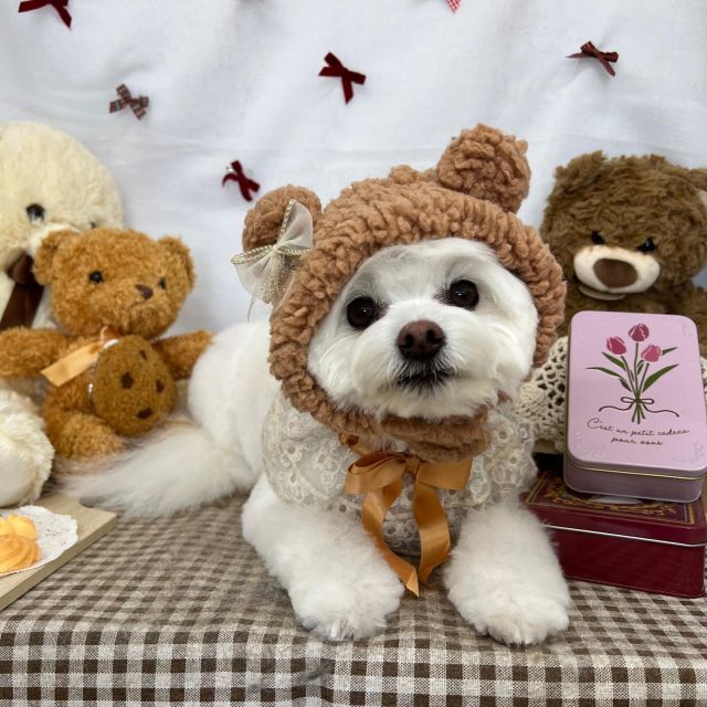 🐻🐻🐻

🧡さゆちゃん
🧡モコちゃん
🧡もぐちゃん
🧡ベルちゃん
🧡レアくん＆チーズくん
🧡コタロくん
🧡チョコくん
🧡マル吉くん

#ペットサロンリアン
#ダイゴペットクリニック併設サロン
#豊田市#松ヶ枝町#トリミングサロン
#シャンプー#さっぱり
#炭酸泉#マイクロバブル
#トリートメント#肉球クリーム
#お利口さんでした💮 
#いぬすきさんと繋がりたい🐶 
#いぬすたぐらむ