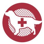 ダイゴペットクリニック　豊田/岡崎/日進/名古屋　動物病院/トリミング/年中無休/CT/エキゾチックアニマル/夜間救急/愛知